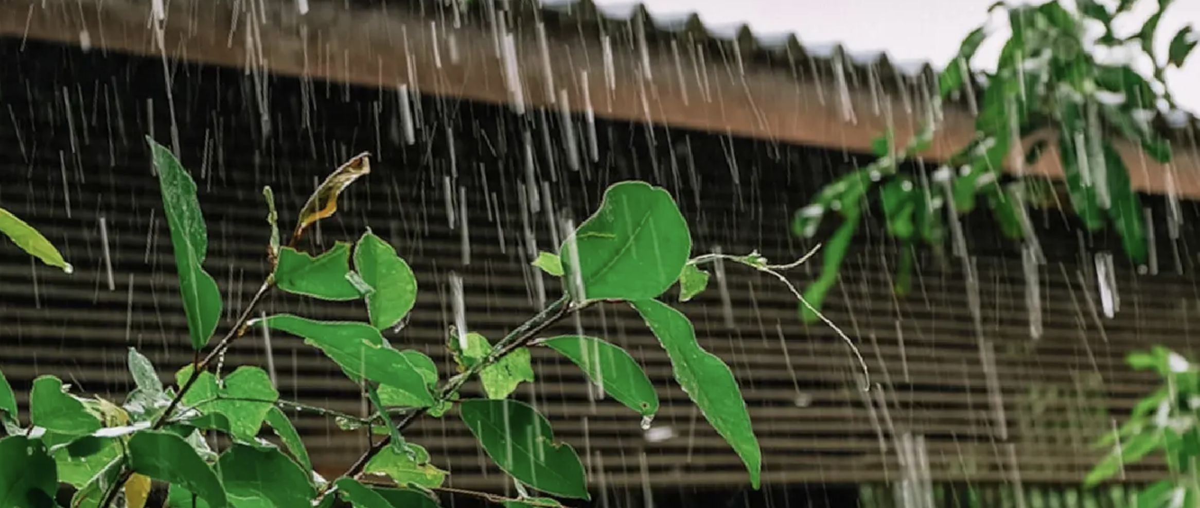 Heavy rain is expected across central and southern Thailand, while strong winds and 2–3 metre waves are forecast in the Andaman Sea through September 20.