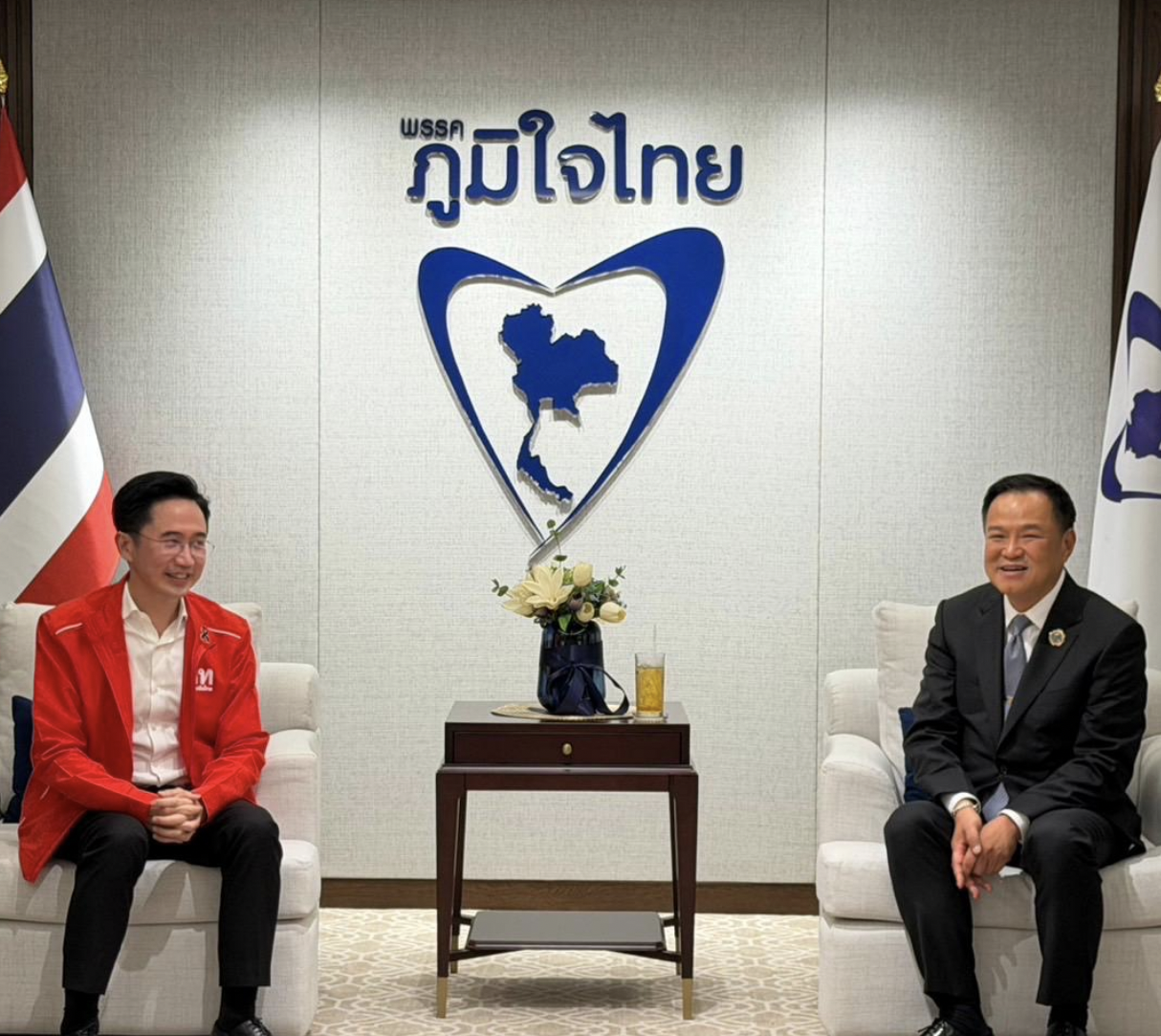 Anutin Forms Government